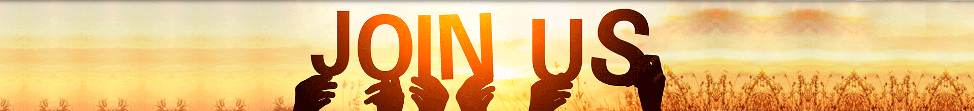 a(chn)н鷱sI(y)(w),ܛpɸ㶨